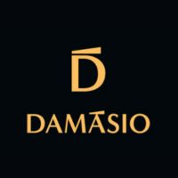 DAMASIO EDUCACIONAL